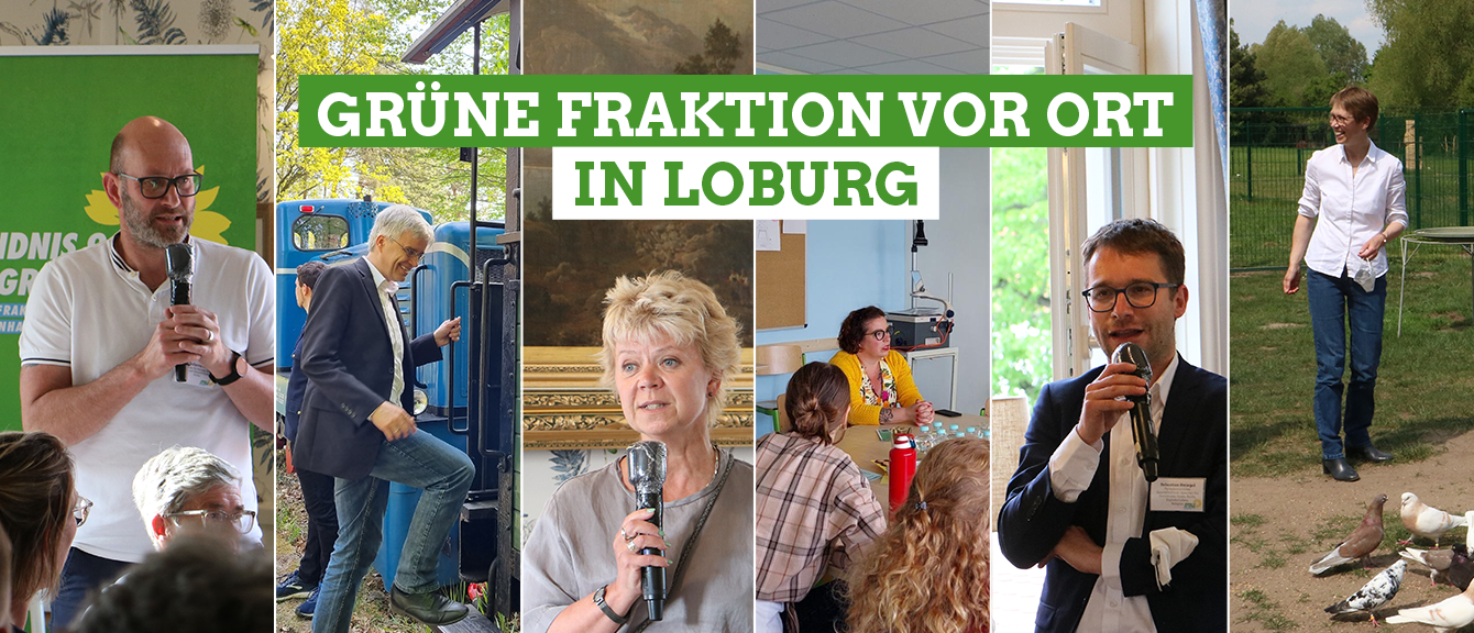Bildmontage von der vergangenen Auswärtigen Fraktionssitzung in Loburg. Auf dem Bild befinden sich v.l.n.r. Wolfgang Aldag, Olaf Meister, Cornelia Lüddemann, Susan Sziborra-Seidlitz, Sebastian Striegel, Dorothea Frederking.