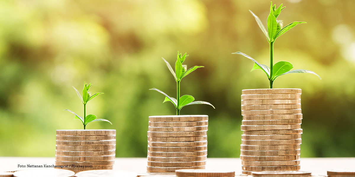 KI generiert: Das Bild zeigt drei aufsteigende Stapel von Münzen, aus denen jeweils ein kleiner grüner Pflanzentrieb wächst. Es symbolisiert das Wachstum von Investitionen oder Ersparnissen.