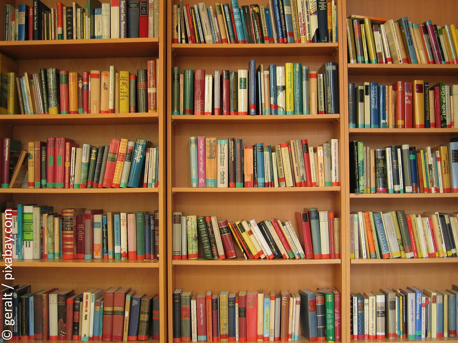 KI generiert: Das Bild zeigt Bücherregale, die dicht mit einer Vielzahl von Büchern gefüllt sind. Die Bücher sind unterschiedlich groß und bunt, was dem Regal ein lebendiges Aussehen verleiht.