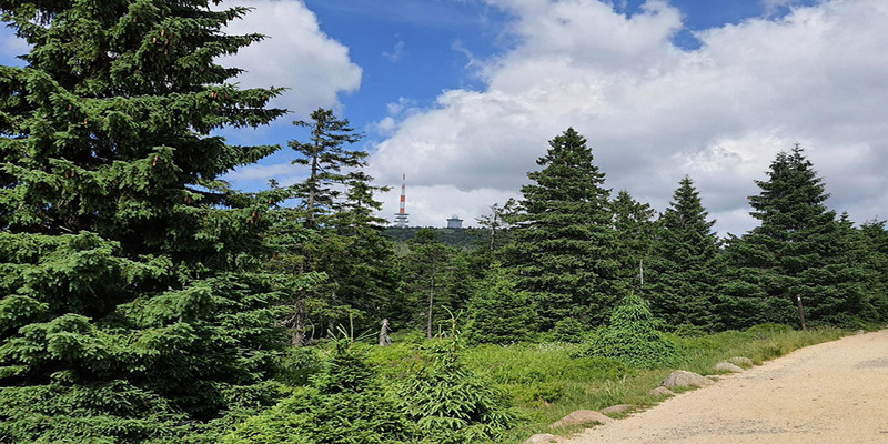 Nationalpark Harz