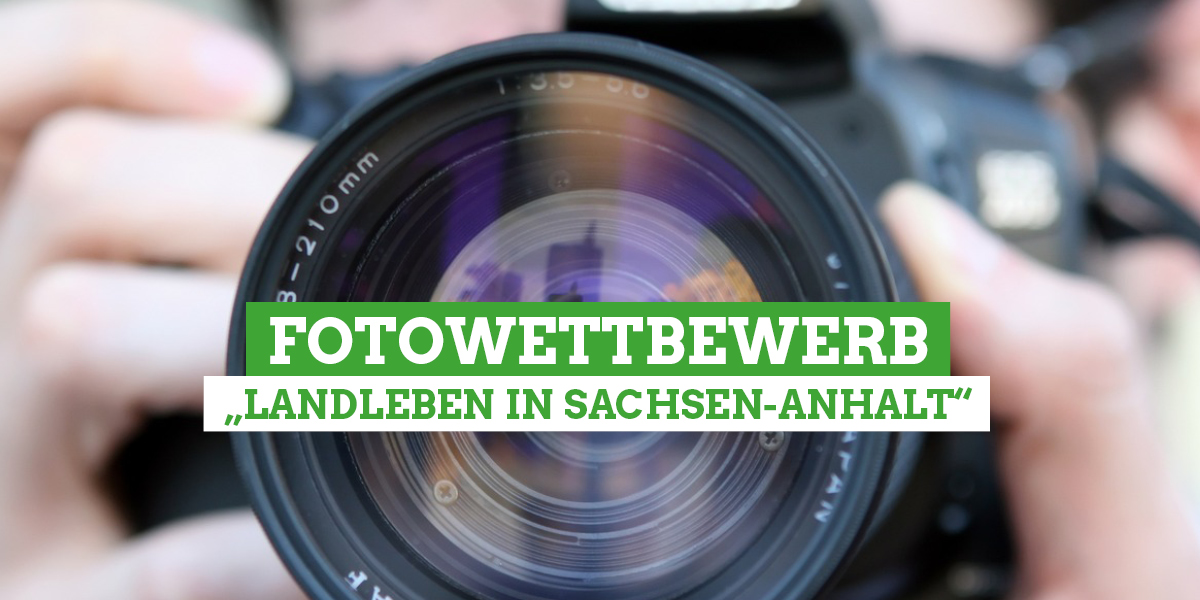 Webseite Titelbild 3