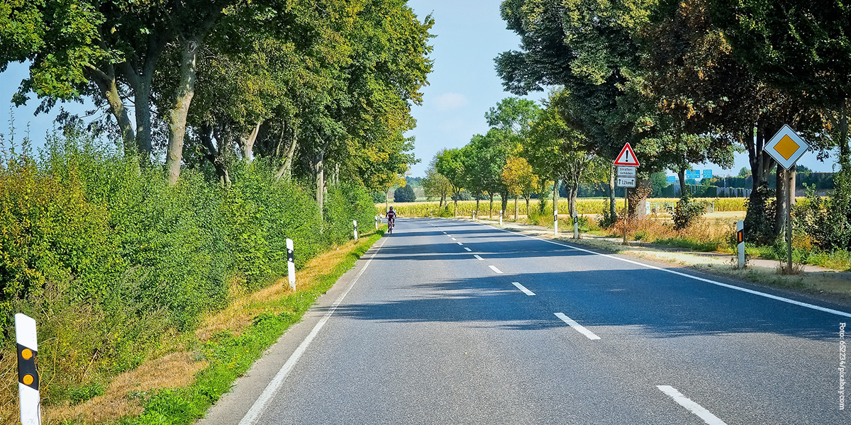 KI generiert: Das Bild zeigt eine gerade Landstraße, die von Bäumen gesäumt ist. Ein Radfahrer fährt auf der rechten Seite der Straße, die von Verkehrsschildern flankiert wird.