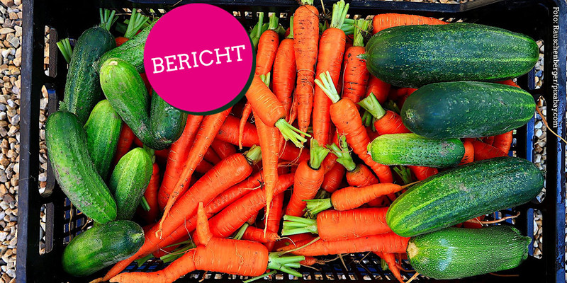KI generiert: Das Bild zeigt eine Kiste voller frischer Karotten und Gurken. Im Vordergrund ist ein Symbol mit der Aufschrift "BERICHT" zu sehen.