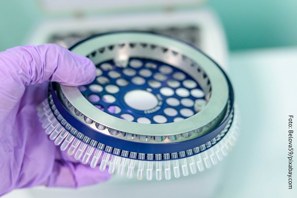 KI generiert: Das Bild zeigt eine Person, die ein Laborkarussell in der Hand hält, das mit kleinen Reagenzgläsern ausgestattet ist. Dies deutet auf eine Laborsituation, wahrscheinlich im Bereich Biologie oder Chemie, hin.